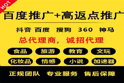 SEO百度推广策略：成功案例解析